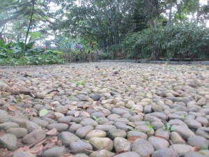 Peebles on a Sidewalk