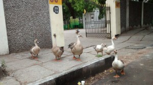 IMG_20150618_090020818