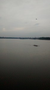Rowing in Adyar Backwaters